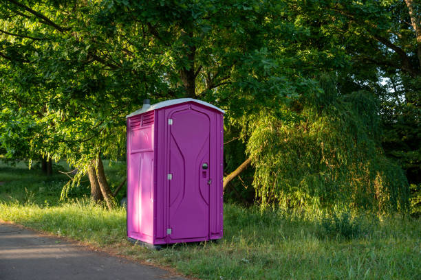 Best Luxury portable toilet rental  in Rockdale, IL